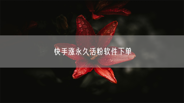 快手涨永久活粉软件下单