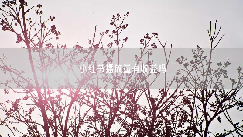 小红书播放量有收益吗