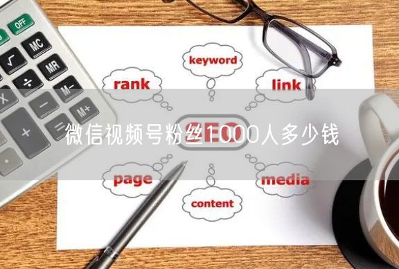 微信视频号粉丝1000人多少钱