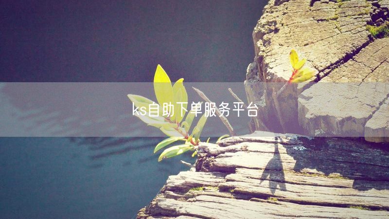 ks自助下单服务平台