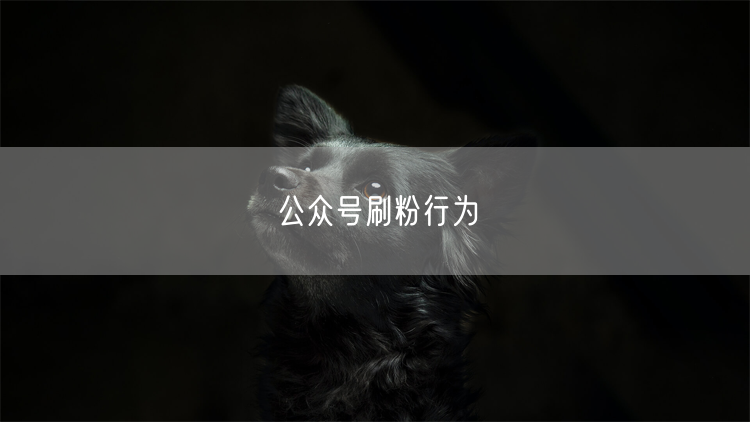 公众号刷粉行为