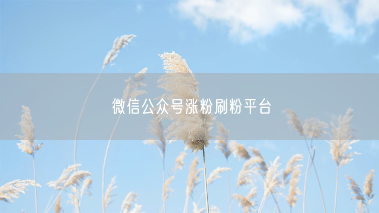 微信公众号涨粉刷粉平台