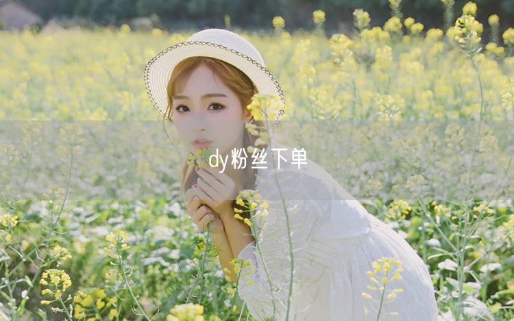 dy粉丝下单