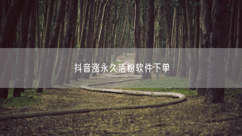 抖音涨永久活粉软件下单