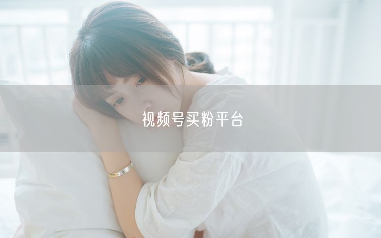 视频号买粉平台