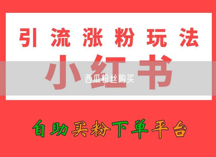 西瓜粉丝购买