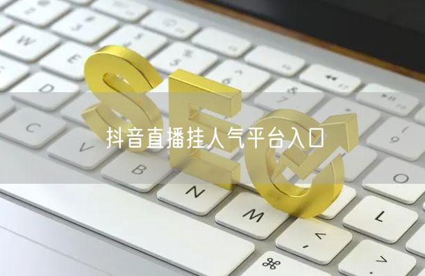 抖音直播挂人气平台入口
