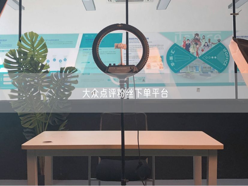 大众点评粉丝下单平台