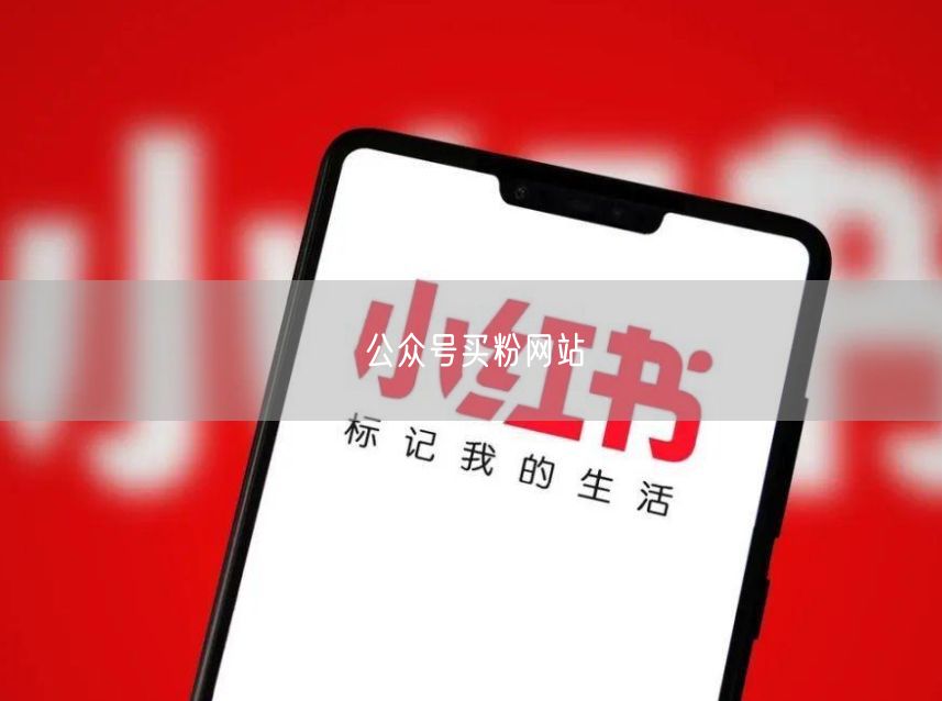 公众号买粉网站