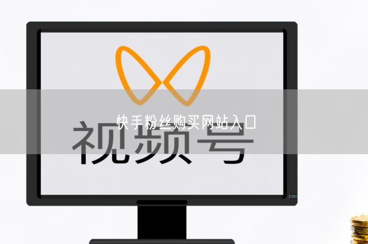 快手粉丝购买网站入口