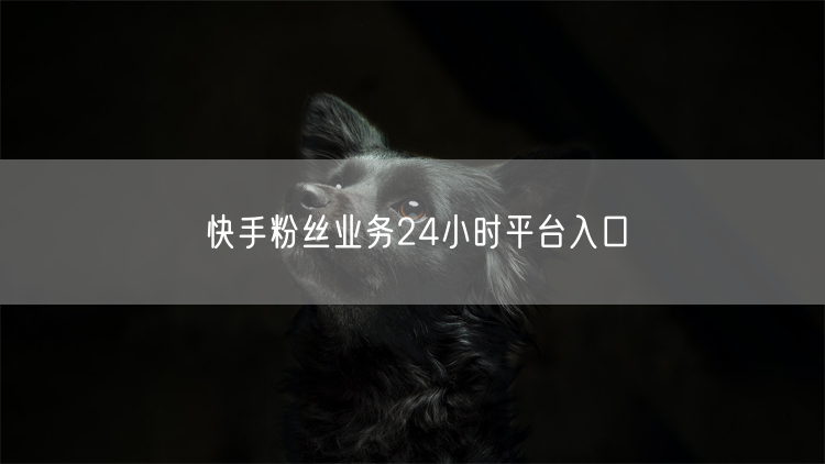 快手粉丝业务24小时平台入口
