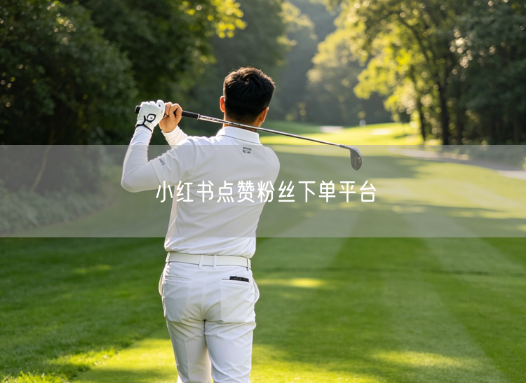 小红书点赞粉丝下单平台
