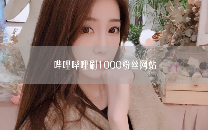哔哩哔哩刷1000粉丝网站