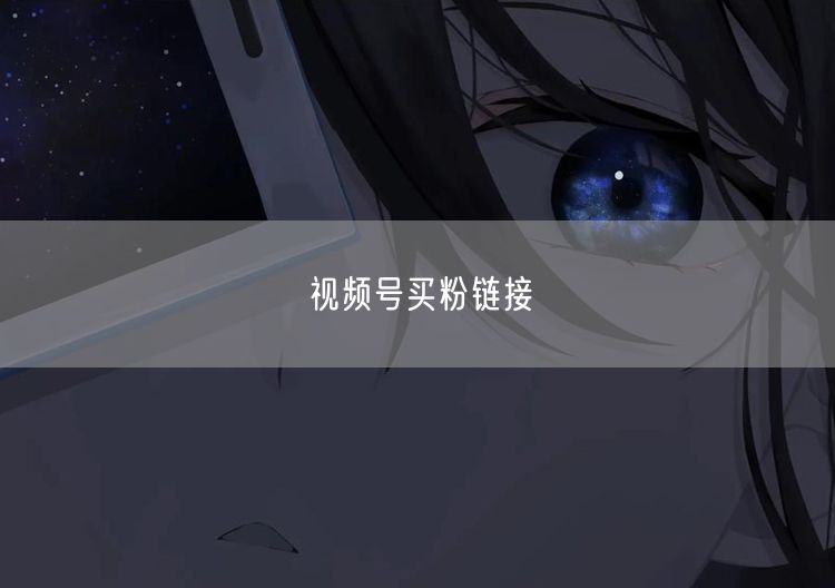 视频号买粉链接