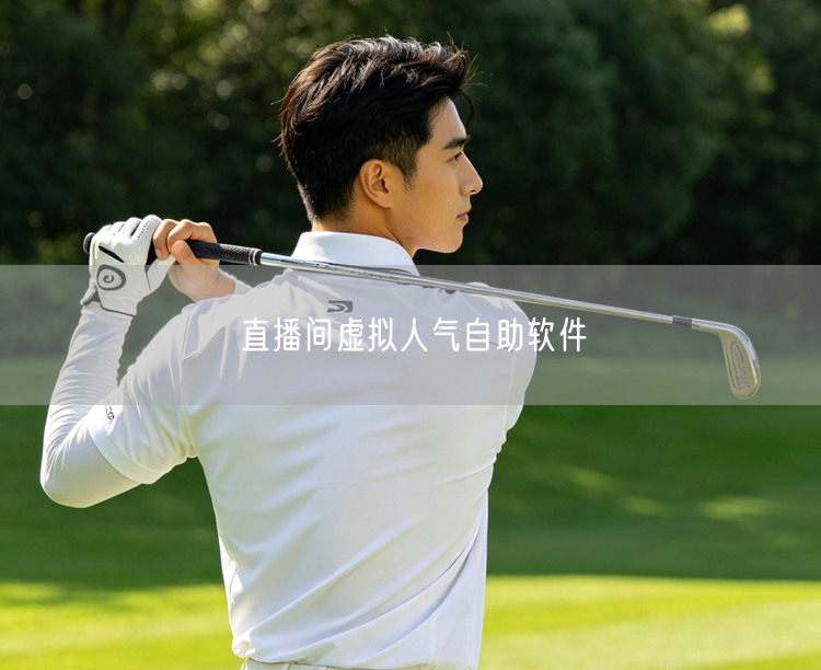 直播间虚拟人气自助软件
