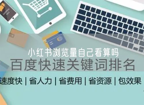 小红书浏览量自己看算吗