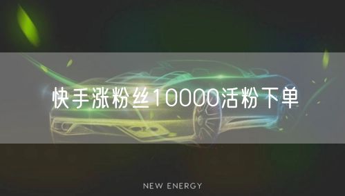 快手涨粉丝10000活粉下单