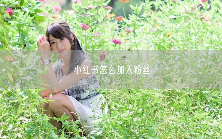 小红书怎么加入粉丝