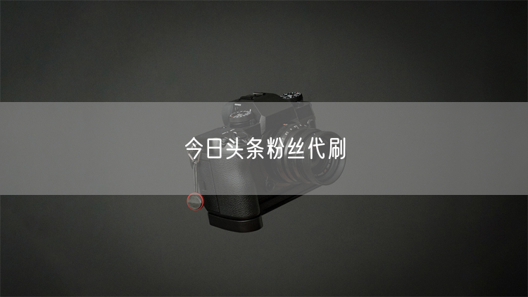 今日头条粉丝代刷