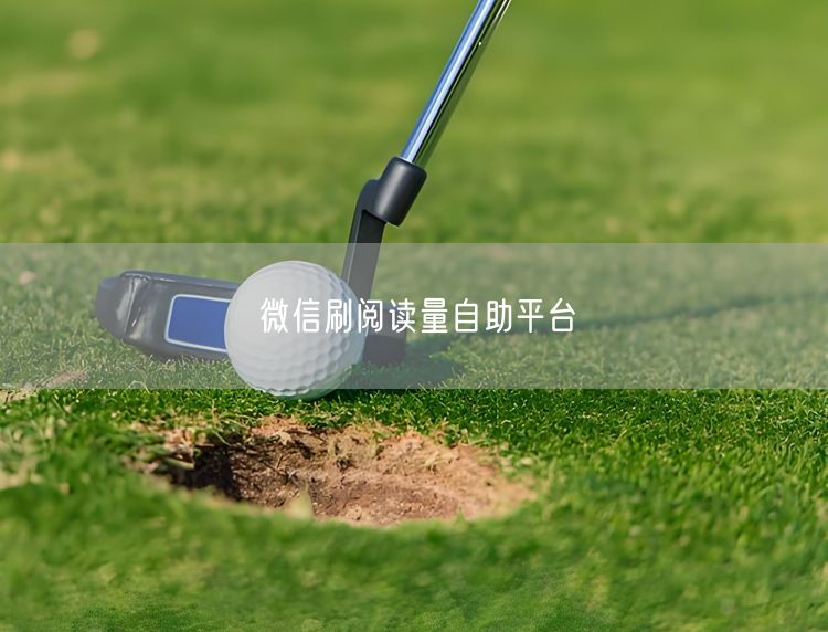 微信刷阅读量自助平台
