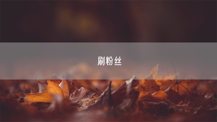 刷粉丝