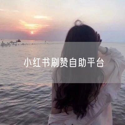 小红书刷赞自助平台