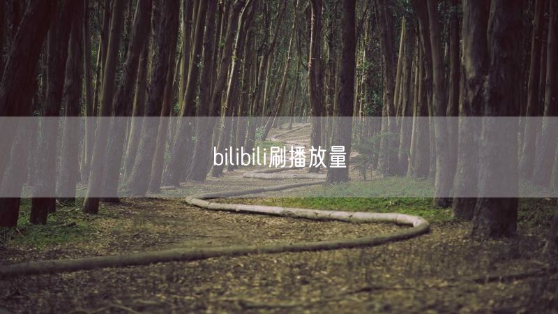 bilibili刷播放量