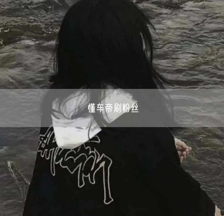懂车帝刷粉丝