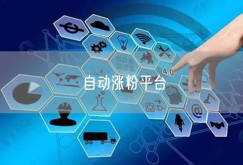自动涨粉平台