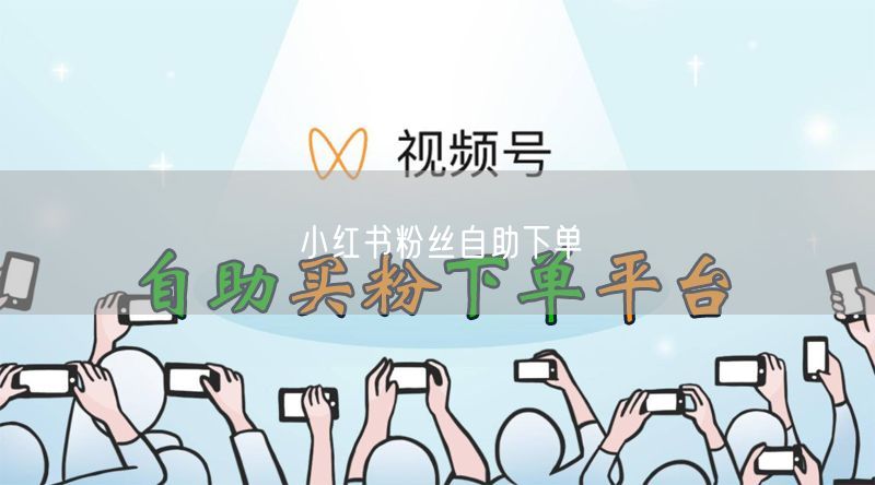 小红书粉丝自助下单全攻略：避坑技巧与实操增长案例