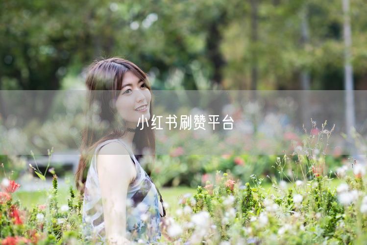 小红书刷赞平台