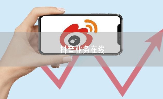 抖音业务全攻略：运营涨粉变现实操技巧大揭秘