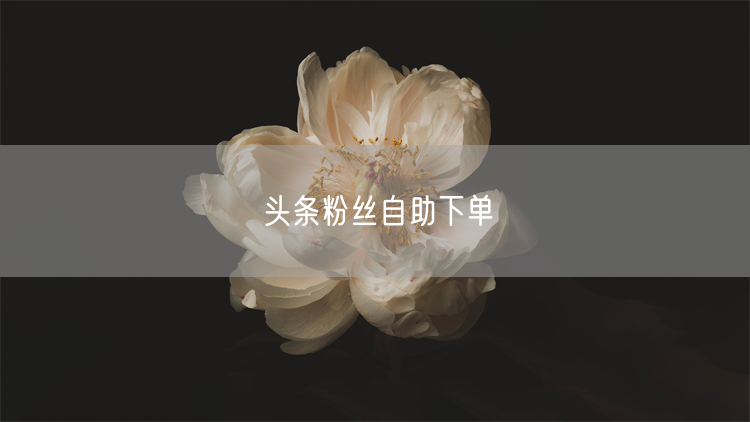 头条粉丝自助下单