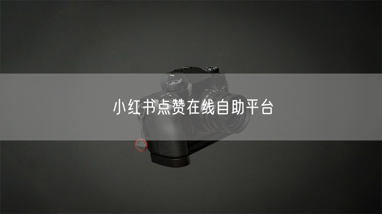小红书点赞自助平台实操：避坑指南与真实案例
