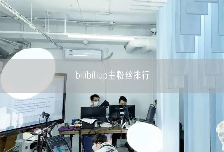bilibiliup主粉丝排行