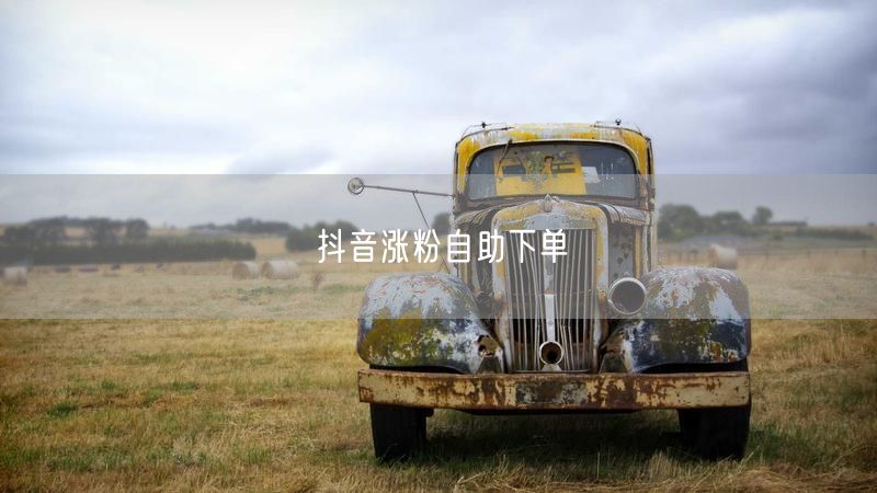 抖音涨粉秘籍：自助下单技巧+实操避坑指南