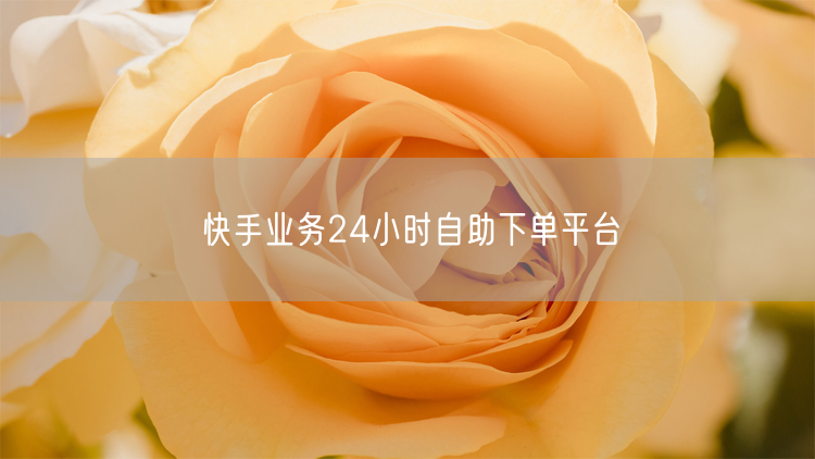 快手业务24小时下单全攻略+避坑实操分享