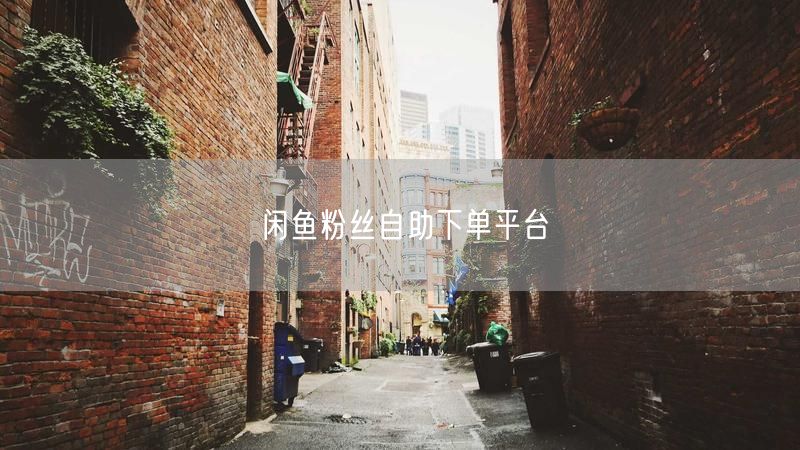 闲鱼粉丝自助下单平台