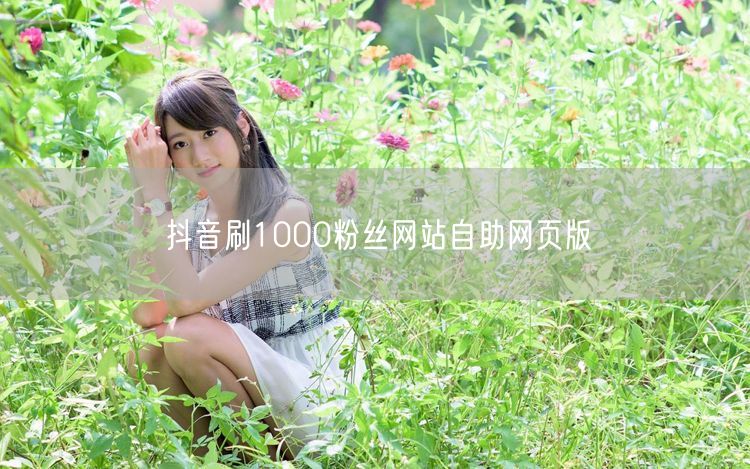 抖音刷粉实操：1000粉自助网页版避坑指南