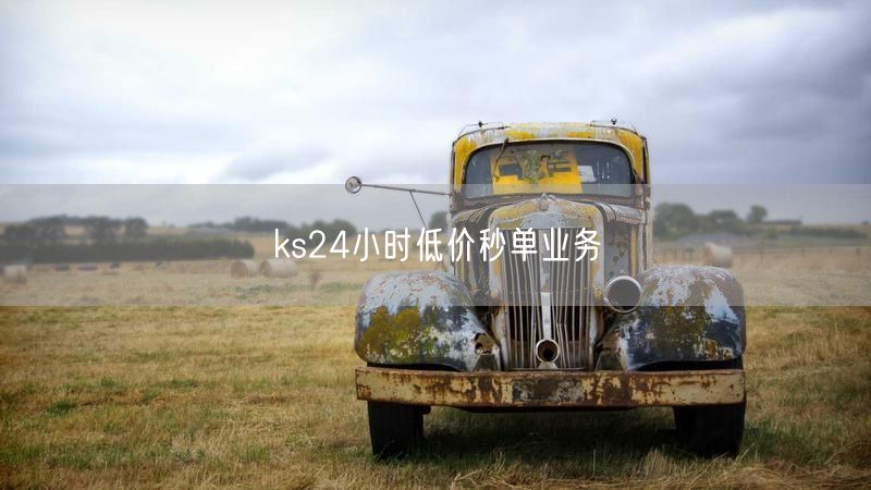 ks24小时低价秒单业务