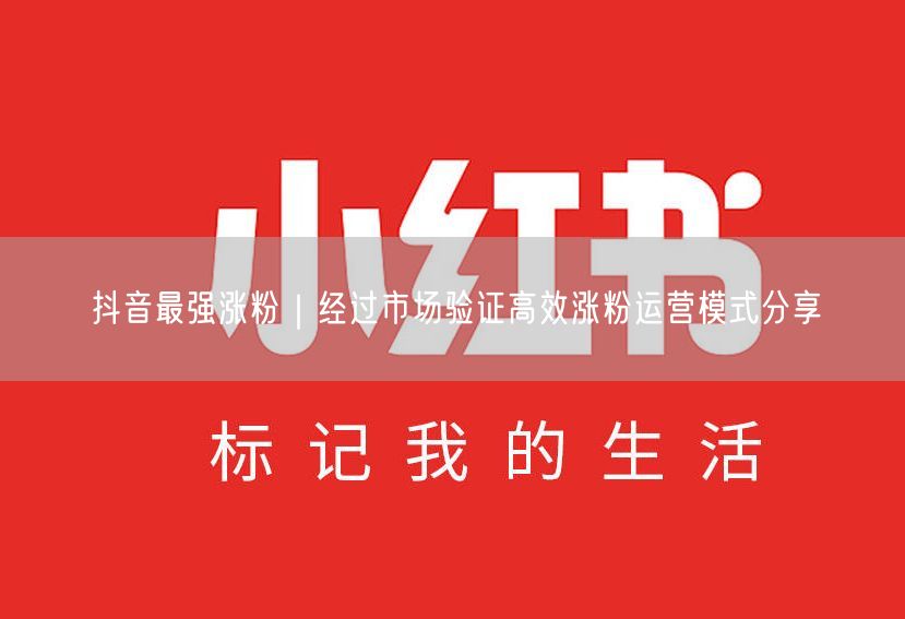 抖音最强涨粉｜经过市场验证高效涨粉运营模式分享