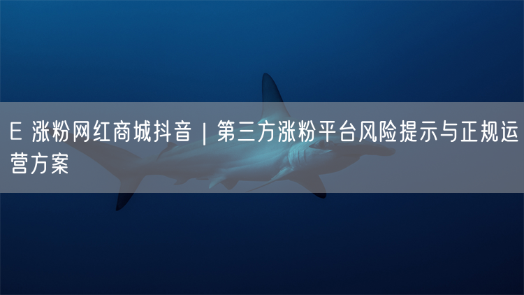 E 涨粉网红商城抖音｜第三方涨粉平台风险提示与正规运营方案