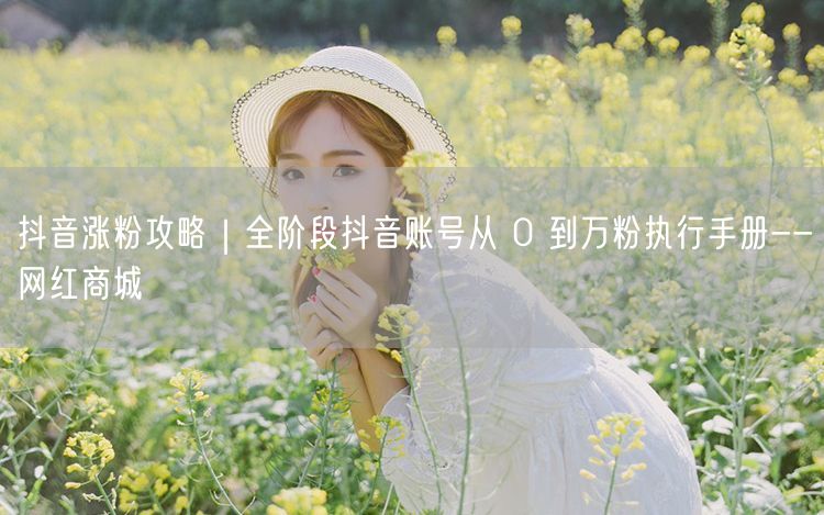 抖音涨粉攻略｜全阶段抖音账号从 0 到万粉执行手册--网红商城