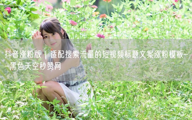 抖音涨粉版｜适配搜索流量的短视频标题文案涨粉模板--黑色天空秒赞网