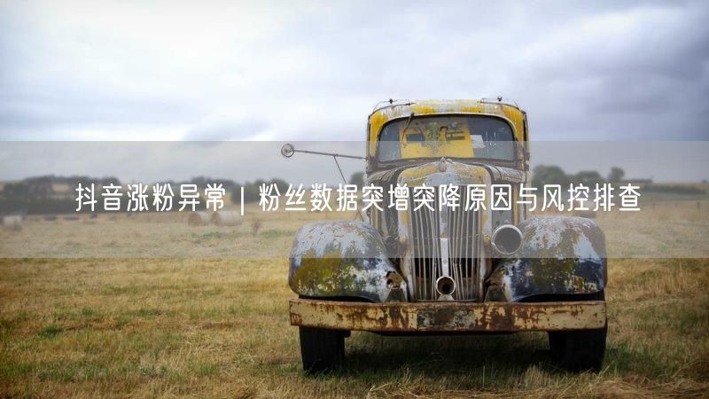 抖音涨粉异常｜粉丝数据突增突降原因与风控排查