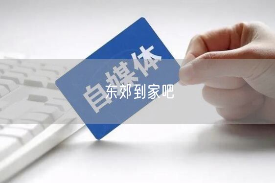 东郊到家吧上门按摩服务实操：常见踩坑与真实案例分享
