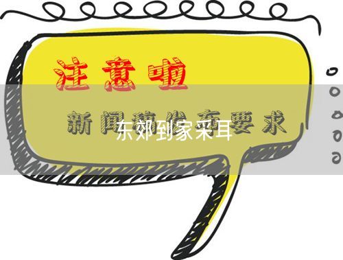 东郊到家采耳体验：揭秘专业技巧与注意事项