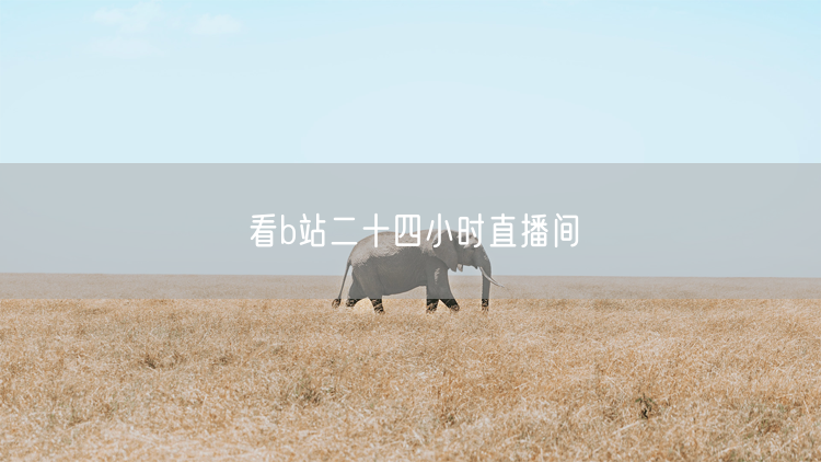 看b站二十四小时直播间