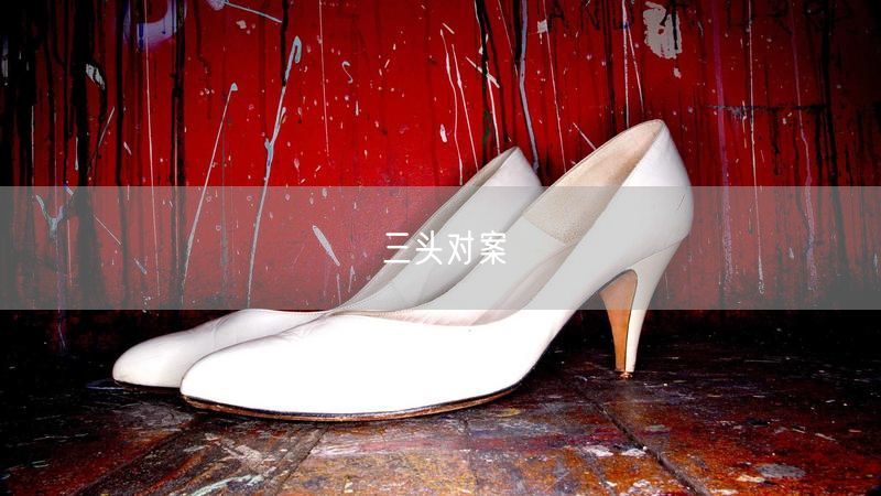 三头对案