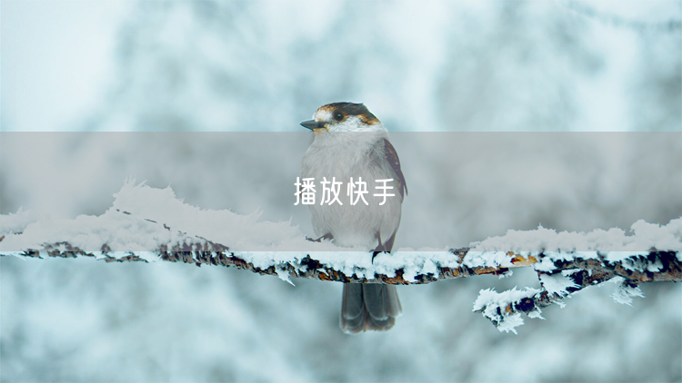 播放快手